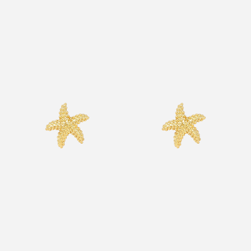 Starfish Clip-On Stud Earrings